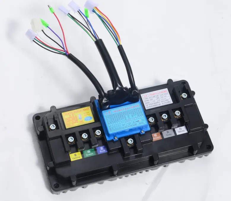 3KW POWERTRAIN FOR E-AUTO OR L5 (CCC CE) PMSM MOTOR 72V - Image 2